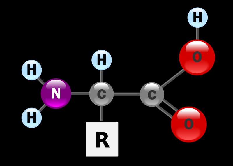 Đôi nét về amino axit